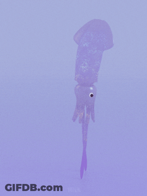 Walking Tall Squid GIF