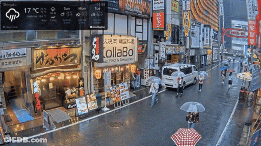 Walking Under The Rain In Japan GIF