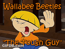 Wallabee Beetles Tough Guy Cartoon GIF
