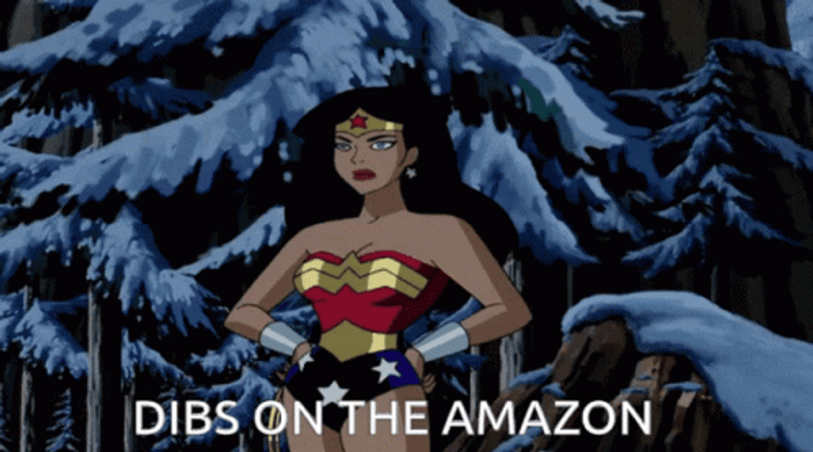 Wally West Flash With Wonder Woman GIF