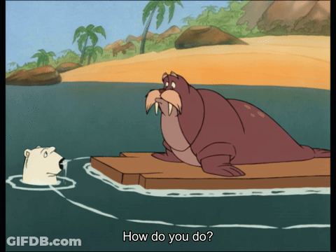 Walrus And Polar Bear Saying How Do You Do GIF