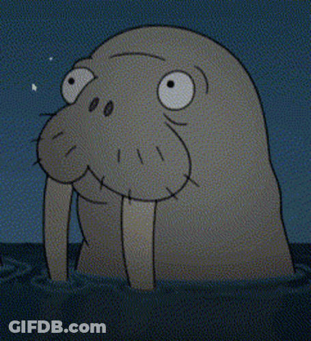 Walrus With Tusks Swimming In Ocean At Night GIF