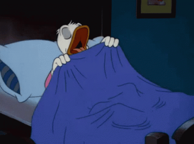 Walt Disney Donald Duck Good Night Sleep Well GIF