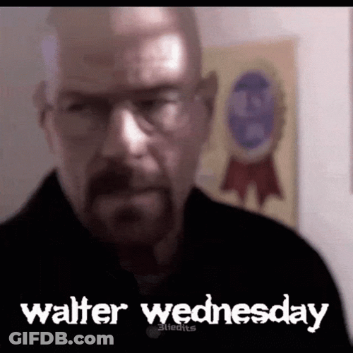 Walter Wednesday Compilation GIF