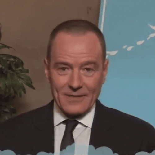 Walter White Bryan Cranston GIF