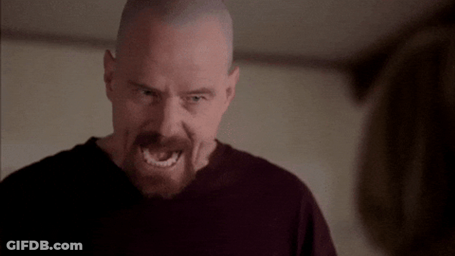 Walter White Meme I Am The Danger Scene GIF