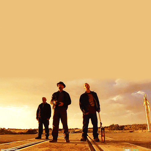 Walter White Meme Jesse And Gus Street Encounter GIF