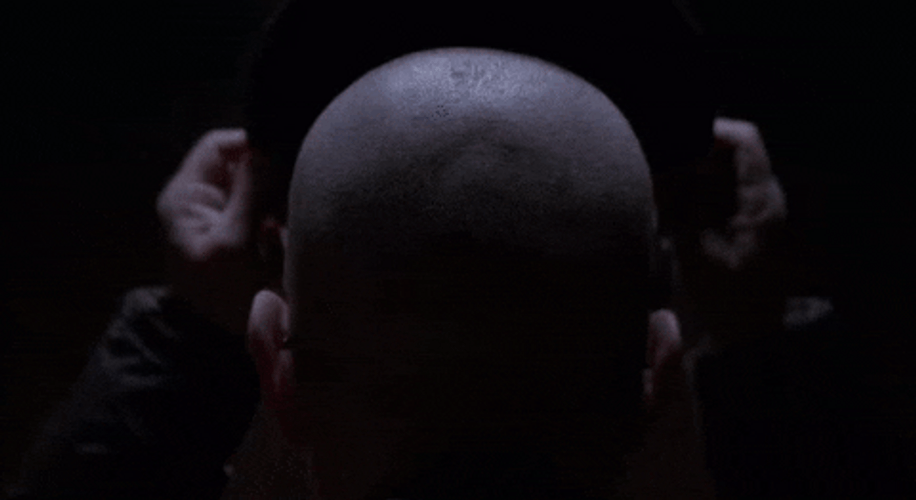 Walter White Meme The Hat Goes On GIF