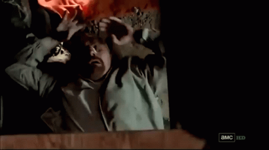 Walter White Tantrum Cry GIF