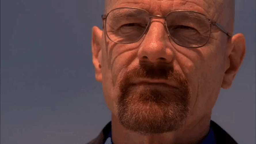 Walter White You're Right GIF