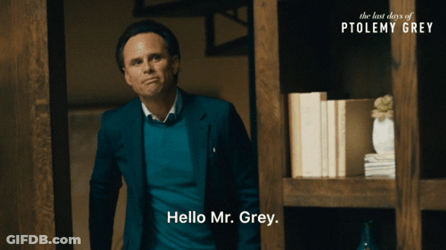 Walton Goggins Hello Mr Grey GIF