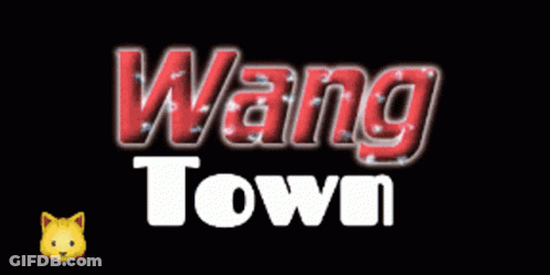Wang Town Logo With Cat Emoji GIF