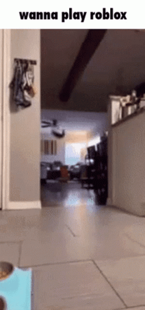 Wanna Play Roblox Cat GIF