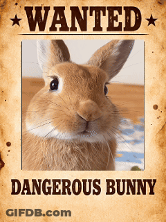 Wanted Poster For Dangerous Bunny GIF