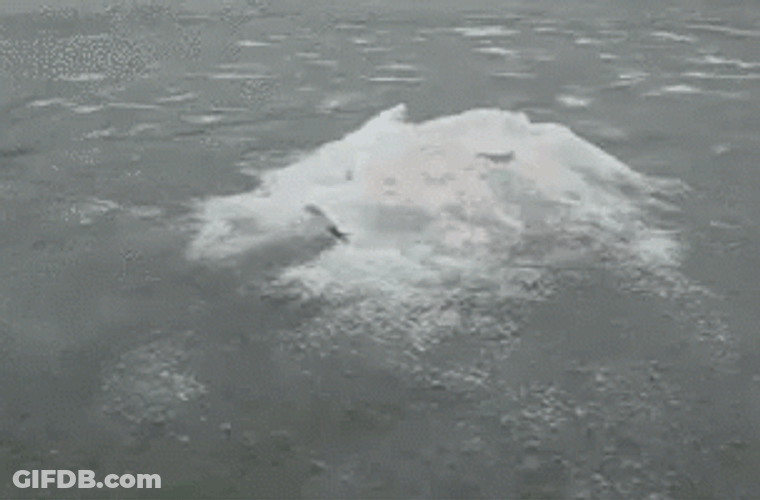 Wanted To Do Icebreaker GIF