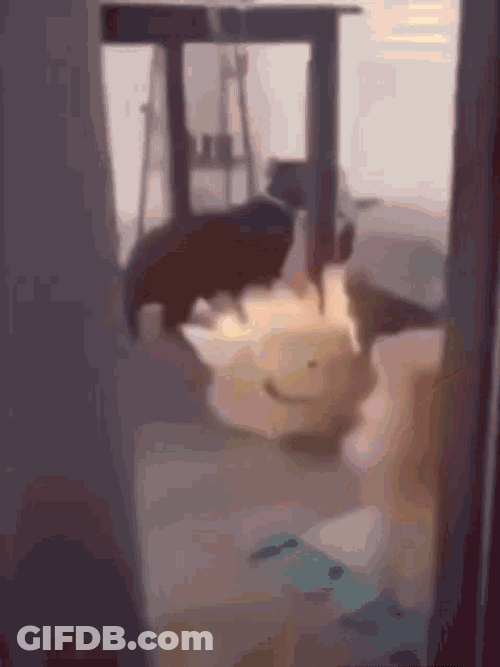 War GIF
