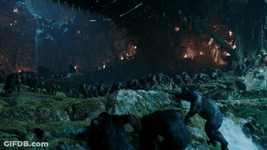 War Planet Of The Apes GIF