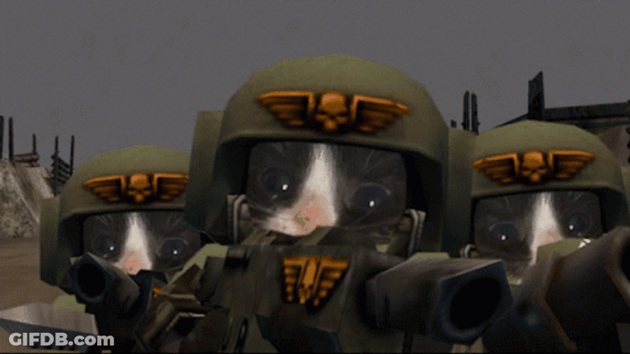 Warhammer Imperial Guard Cat GIF