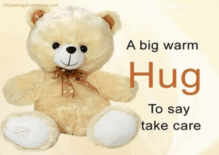 Warm Big Hug Take Care GIF