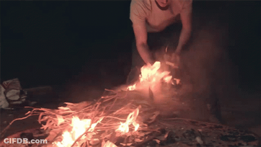 Warm Campfire Night Making GIF