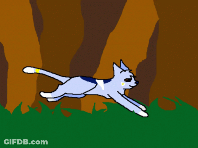 Warrior Cat Running GIF
