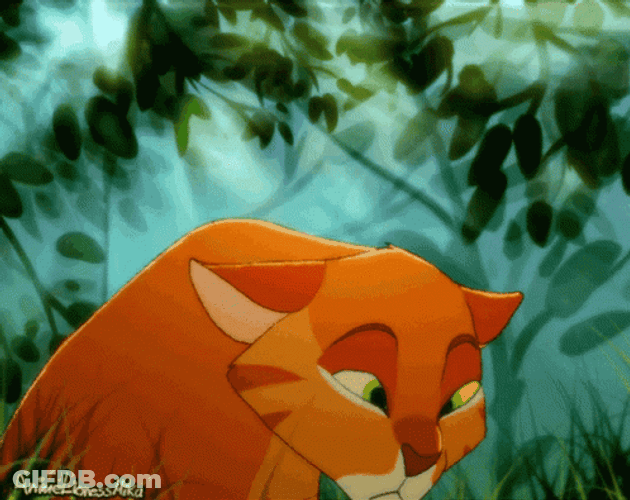 Warrior Cats GIF