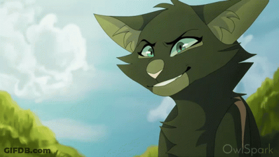 Warrior Cats GIF