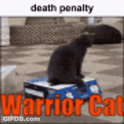 Warrior Cats Death Penalty GIF