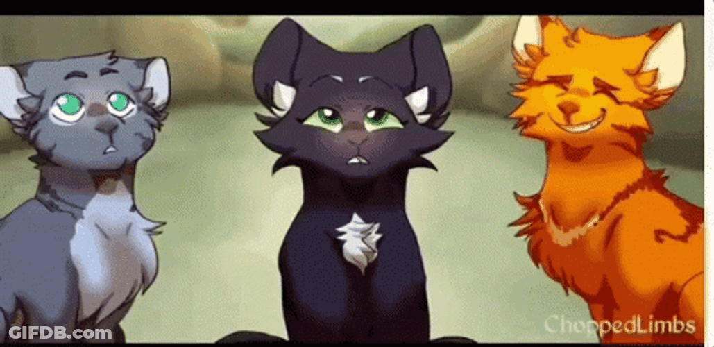 Warrior Cats GIF
