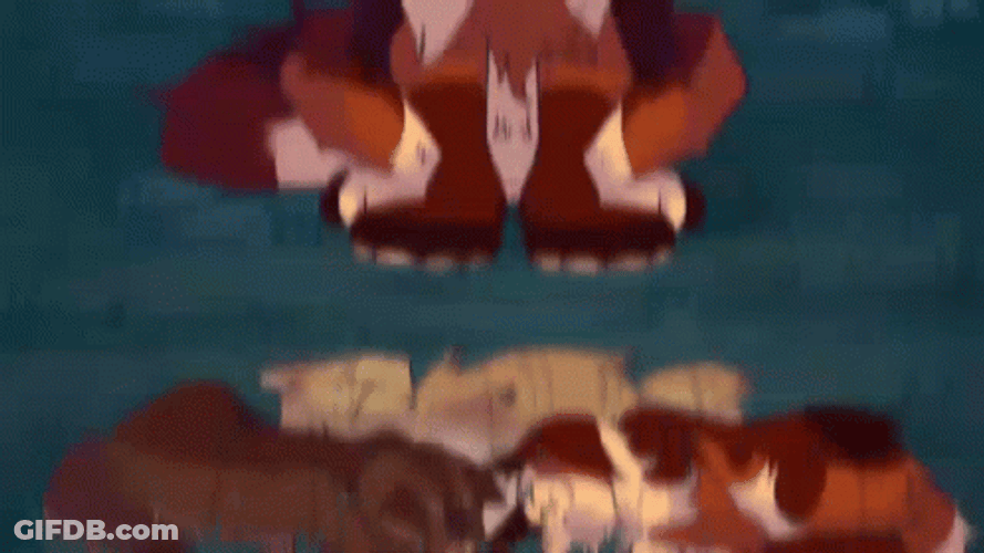 Warrior Cats Frightened By Other Cat GIF