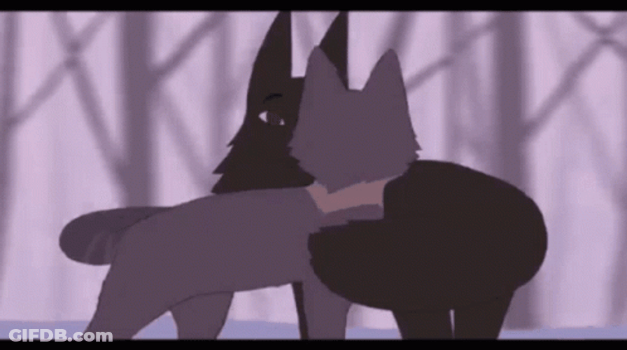 Warrior Cats Intense Eye Contact GIF