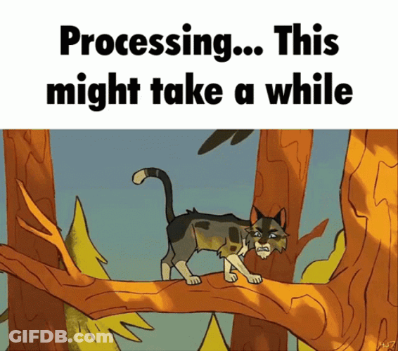 Warrior Cats Processing Might Take A While GIF