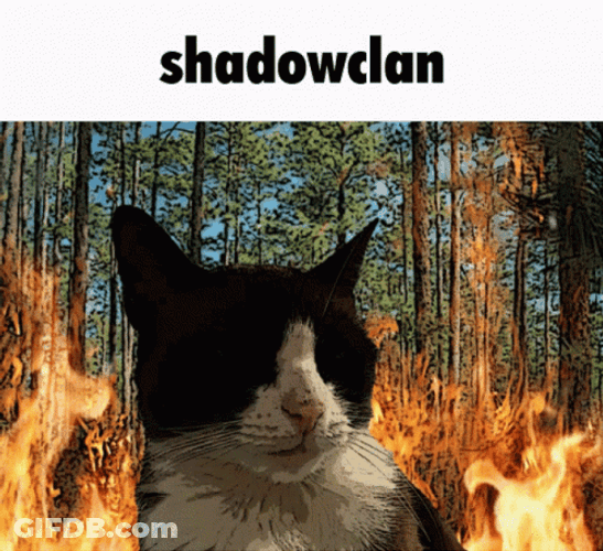 Warrior Cats Shadow Clan Burning GIF