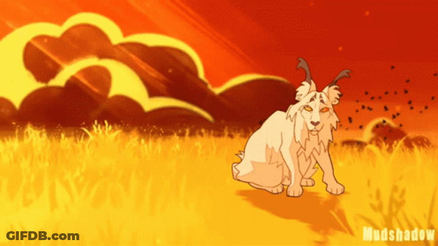 Warrior Cats GIF