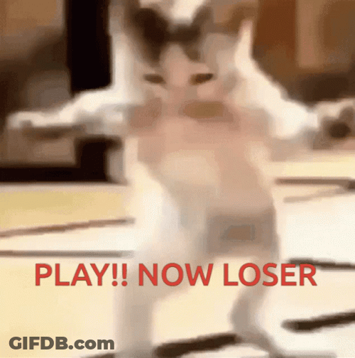 Warriors Come Out And Play Dancing Cat Meme GIF