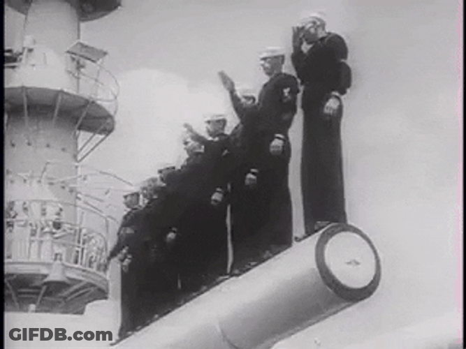 Warship Crew Saluting GIF