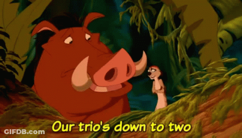 Warthog And Meerkat Our Trio's Down To Two GIF