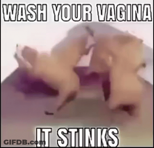 Wash Your Vagina It Stinks GIF