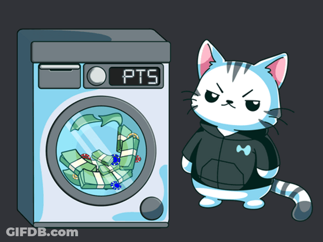 Washing Machine Purr Cat GIF