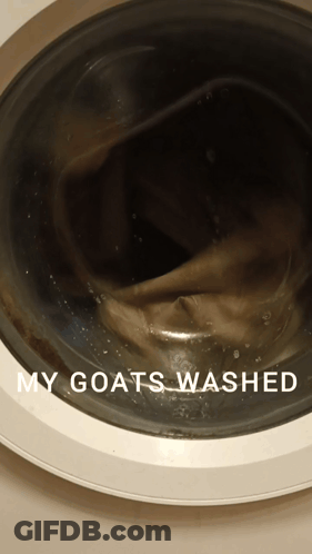 Washing Machine Saying My Goats Washed GIF