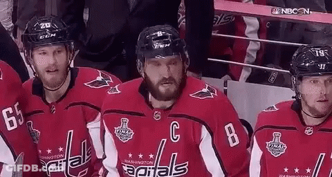 Washington Capitals Hockey Players Sitting In Stands GIF