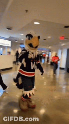 Washington Capitals Mascot Walking Through Lobby GIF