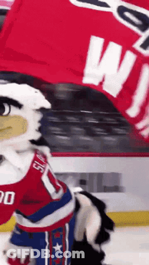 Washington Capitals Slapshot GIF