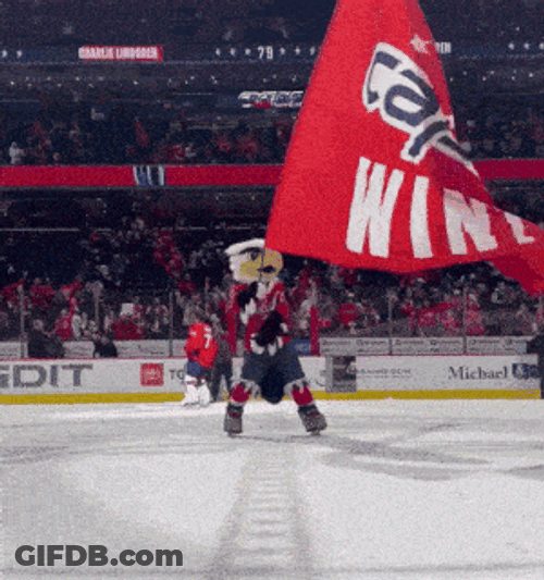 Washington Capitals Slapshot GIF