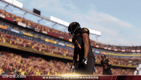 Washington Commanders Playing In Front Of Crowd GIF