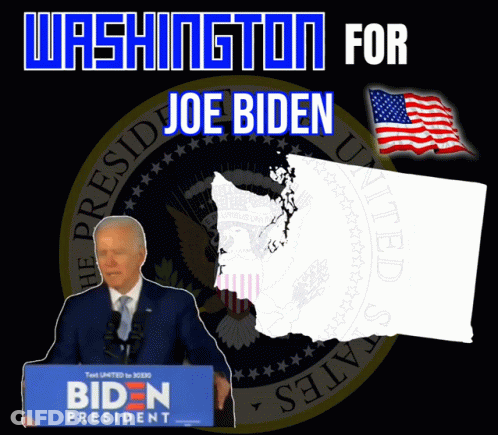 Washington Poster For Joe Biden GIF