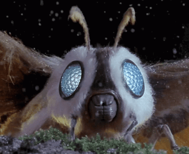 Wasp Monster GIF