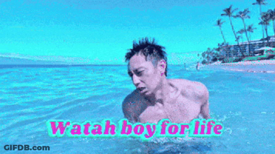 Watahboy For Life Dolphin Dive GIF
