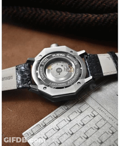 Watch Back Saying Stainless Steel GIF