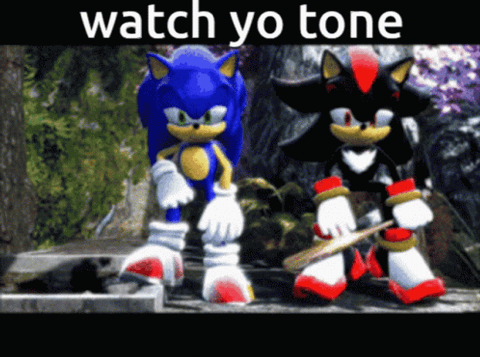 Watch You Tone Sonic Meme GIF